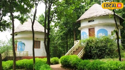 বর্ষায় জঙ্গলের সৌন্দর্য্য উপভোগ করার সেরা গন্তব্য হতে পারে দুয়ারসিনি বর্ষায় জঙ্গলের সৌন্দর্য্য উপভোগ করার সেরা গন্তব্য হতে পারে দুয়ারসিনি
