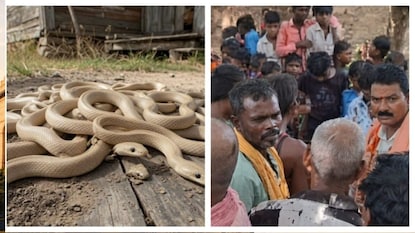 অল্পের জন্য রক্ষা পেল গোটা পরিবার অল্পের জন্য রক্ষা পেল গোটা পরিবার
