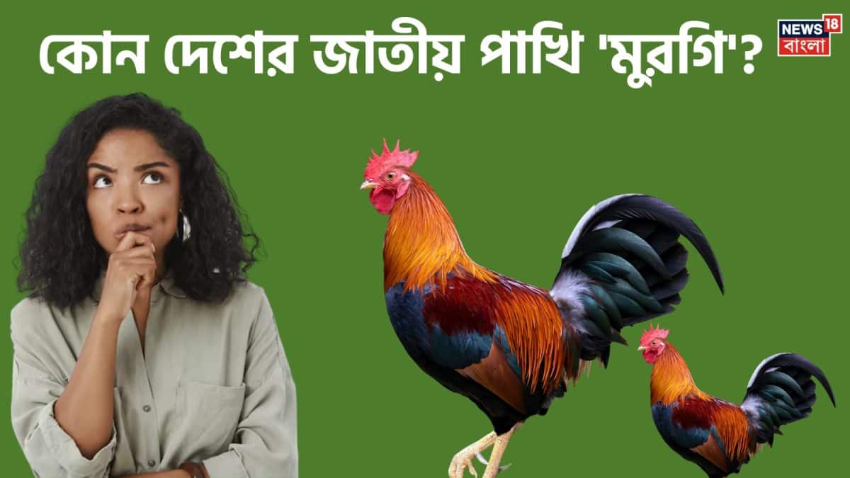 GK Quiz: ‘মুরগি’ কোন দেশের জাতীয় পাখি? উত্তর দিতে হিমশিম খাচ্ছেন অনেকেই!