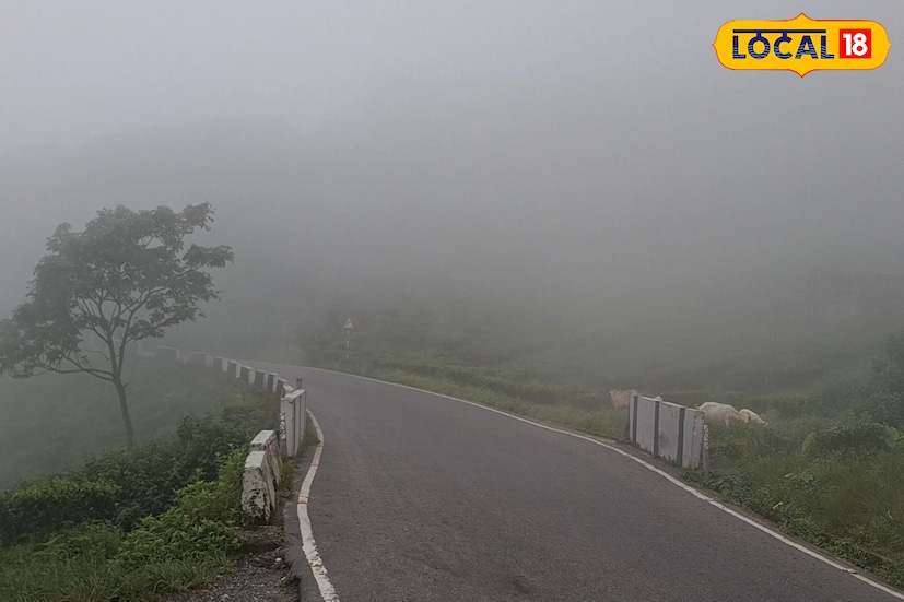 অন্যদিকে কালিম্পং, আলিপুরদুয়ার, কোচবিহার, উত্তর দিনাজপুর, দক্ষিণ দিনাজপুর এবং মালদহ জেলায় ৭ থেকে ১১ সেন্টিমিটার পর্যন্ত ভারী বৃষ্টির পূর্বাভাস রয়েছে। এই জেলাগুলিতেও বজ্রবিদ্যুৎ-সহ দমকা হাওয়ার সম্ভাবনা রয়েছে। অন্যদিকে কালিম্পং, আলিপুরদুয়ার, কোচবিহার, উত্তর দিনাজপুর, দক্ষিণ দিনাজপুর এবং মালদহ জেলায় ৭ থেকে ১১ সেন্টিমিটার পর্যন্ত ভারী বৃষ্টির পূর্বাভাস রয়েছে। এই জেলাগুলিতেও বজ্রবিদ্যুৎ-সহ দমকা হাওয়ার সম্ভাবনা রয়েছে।