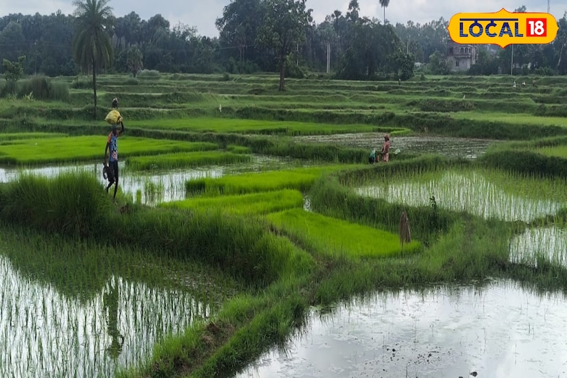 তৃতীয়ত, বজ্রপাতের সময় ধাতব বস্তু যেমন সাইকেল, মোটরবাইক, লোহার গেট, কৃষিকাজের ধাতব যন্ত্রপাতি বা ছাতা থেকে দূরে থাকতে হবে। একইসঙ্গে টিভি, ফ্রিজ, কম্পিউটার বা অন্যান্য বৈদ্যুতিক যন্ত্রের প্লাগ খুলে দেওয়া উচিত যাতে অতিরিক্ত বিদ্যুৎ প্রবাহে ক্ষতি না হয়। তৃতীয়ত, বজ্রপাতের সময় ধাতব বস্তু যেমন সাইকেল, মোটরবাইক, লোহার গেট, কৃষিকাজের ধাতব যন্ত্রপাতি বা ছাতা থেকে দূরে থাকতে হবে। একইসঙ্গে টিভি, ফ্রিজ, কম্পিউটার বা অন্যান্য বৈদ্যুতিক যন্ত্রের প্লাগ খুলে দেওয়া উচিত যাতে অতিরিক্ত বিদ্যুৎ প্রবাহে ক্ষতি না হয়।
