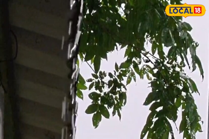 IMD Weather Update For Siliguri, Malda উত্তরবঙ্গে আগামী কয়েকদিন বৃষ্টির দাপট আরও বাড়তে চলেছে। আবহাওয়া দফতরের পূর্বাভাস অনুযায়ী, দার্জিলিং, জলপাইগুড়ি, কালিম্পং, আলিপুরদুয়ার, কোচবিহার, উত্তর দিনাজপুর, দক্ষিণ দিনাজপুর এবং মালদহ জেলায় হালকা থেকে মাঝারি বৃষ্টি ও বজ্রবিদ্যুৎ-সহ বৃষ্টিপাতের সম্ভাবনা রয়েছে। এর মধ্যে দার্জিলিং, জলপাইগুড়ি, কালিম্পং ও আলিপুরদুয়ার জেলায় এক বা দুই জায়গায় ৭ থেকে ১১ সেন্টিমিটার পর্যন্ত ভারী বৃষ্টির সম্ভাবনা রয়েছে। IMD Weather Update For Siliguri, Malda উত্তরবঙ্গে আগামী কয়েকদিন বৃষ্টির দাপট আরও বাড়তে চলেছে। আবহাওয়া দফতরের পূর্বাভাস অনুযায়ী, দার্জিলিং, জলপাইগুড়ি, কালিম্পং, আলিপুরদুয়ার, কোচবিহার, উত্তর দিনাজপুর, দক্ষিণ দিনাজপুর এবং মালদহ জেলায় হালকা থেকে মাঝারি বৃষ্টি ও বজ্রবিদ্যুৎ-সহ বৃষ্টিপাতের সম্ভাবনা রয়েছে। এর মধ্যে দার্জিলিং, জলপাইগুড়ি, কালিম্পং ও আলিপুরদুয়ার জেলায় এক বা দুই জায়গায় ৭ থেকে ১১ সেন্টিমিটার পর্যন্ত ভারী বৃষ্টির সম্ভাবনা রয়েছে।
