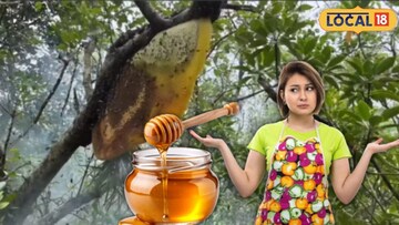 Pure Honey: পাতলা মানেই কিন্তু ভেজাল নয়! আসল সুন্দরবনের মধু চিনবেন কীভাবে? জানুন ঘরোয়া টোটকা