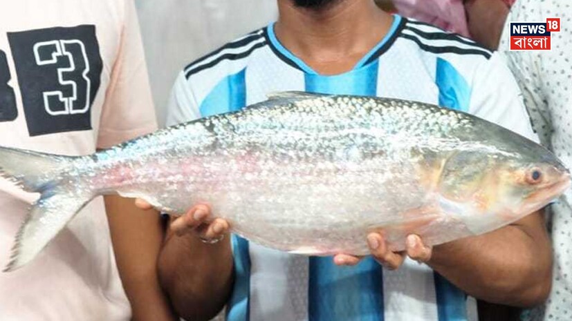 Rare Hilsa Fish: পেল্লাই সাইজ! এক পিস ইলিশের দাম ২২ হাজার ৭৯৮ টাকা! বিরল মাছ দেখতে জমল ভিড়, ভাইরাল ছবি