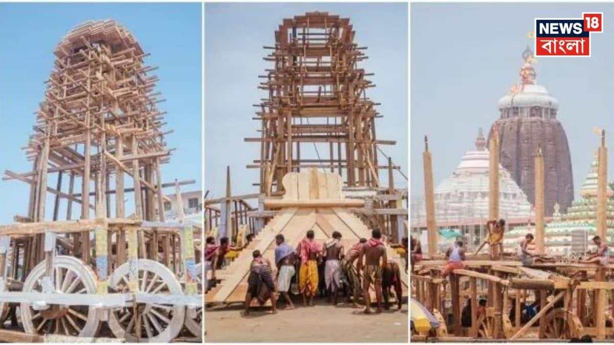 Jagannath Dev’s Rath: পুরীতে রথযাত্রার পর রথগুলোর কী হয়? বেশিরভাগ মানুষেরই অজানা, জানলে চমকে যাবেন আপনিও Jagannath Dev’s Rath: পুরীতে রথযাত্রার পর রথগুলোর কী হয়? বেশিরভাগ মানুষেরই অজানা, জানলে চমকে যাবেন আপনিও