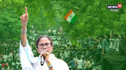 CJP-র সমর্থনে দিল্লি যাচ্ছেন মমতা বন্দ্যোপাধ্যায়