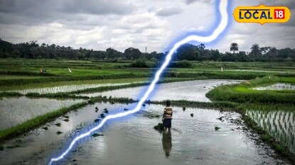 গবাদি পশুকে মাঠ থেকে বাড়ি আনতে বজ্রপাতে প্রাণ গেল এক ব্যক্তির গবাদি পশুকে মাঠ থেকে বাড়ি আনতে বজ্রপাতে প্রাণ গেল এক ব্যক্তির