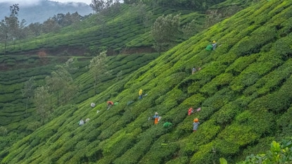 দক্ষিণ ভারতের ‘কাশ্মীর’ নামে পরিচিত কোন Hill Station? দক্ষিণ ভারতের ‘কাশ্মীর’ নামে পরিচিত কোন Hill Station?