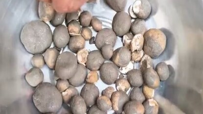 প্রতি কেজি ১২০০ টাকায় বিক্রি হওয়া এই সবজির কাছে হার মানে মুরগি-খাসির মাংস! স্বাদের সঙ্গে স্বাস্থ্যের ভাণ্ডার ‘কাটরুয়া’