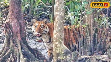 GK: সন্দেশখালি-ধামাখালি-সজনেখালি…, বলুন তো সুন্দরবনের এই জায়গার নামের শেষে কেন এত ‘খালি’? বেশিরভাগ মানুষেরই অজানা