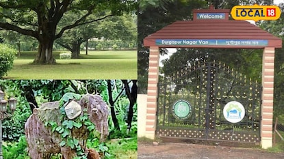 যত্নের অভাবে নষ্ট হতে বসেছে দুর্গাপুরের নগর বন যত্নের অভাবে নষ্ট হতে বসেছে দুর্গাপুরের নগর বন