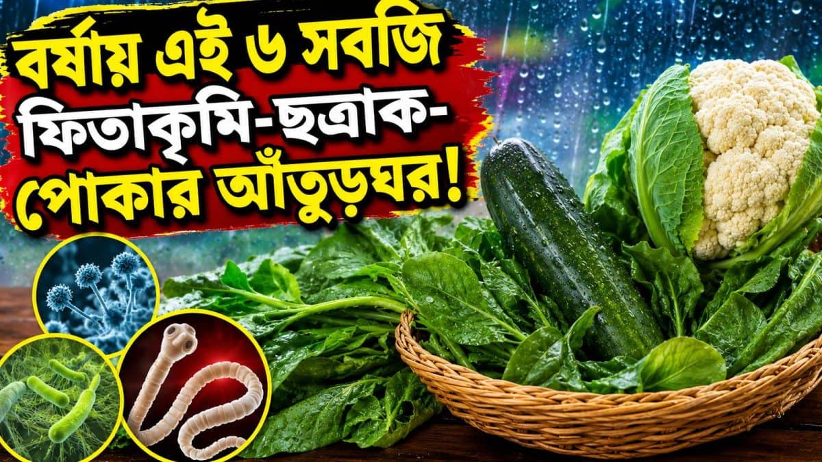 Monsoon Eating Tips: বর্ষায় এই ৬ সবজি ফিতাকৃমি-ছত্রাক-পোকা-জীবাণু-ময়লার আঁতুড়ঘর! রোগের খনি! ভুলেও কিনবেন না…পেটে গেলেই শরীর অসুখের আড়ত!