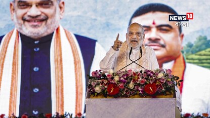 চারমুখী কৌশল কার্যকর করার নির্দেশ অমিত শাহের (ফাইল ছবি)