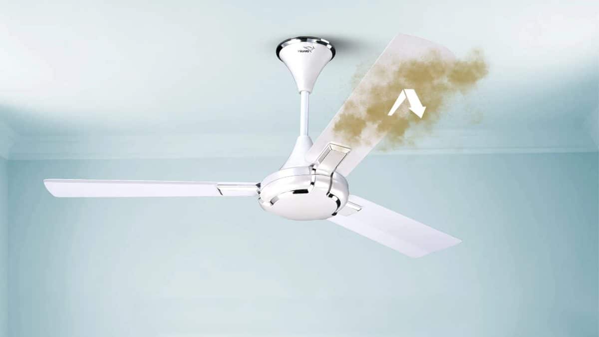 Anti Dust Ceiling Fan: বারবার পরিষ্কার করার ঝামেলা শেষ! এই ফ্যানের ব্লেডে ধুলো জমতে পারে না, কীভাবে কাজ করে ‘অ্যান্টি-ডাস্ট ফ্যান’?