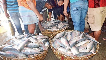 দিঘার মোহনার বাজারে এল টন টন ইলিশ৷ দিঘার মোহনার বাজারে এল টন টন ইলিশ৷