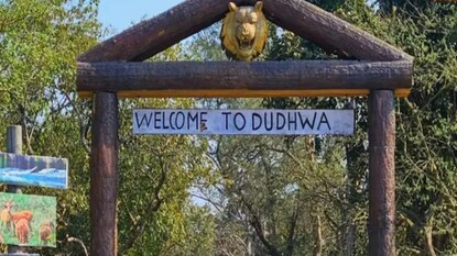 Dudhwa National Park-এ গণ্ডারের সংখ্যা বেড়ে ৫৩ Dudhwa National Park-এ গণ্ডারের সংখ্যা বেড়ে ৫৩