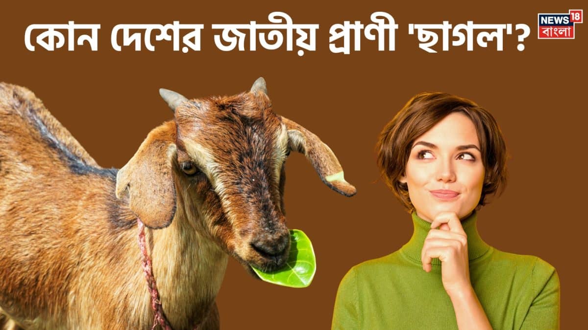 মাত্র ১% মানুষ সঠিক উত্তর দিতে পারেন! ছাগল কোন দেশের জাতীয় প্রাণী জানেন? এবার আপনার পালা