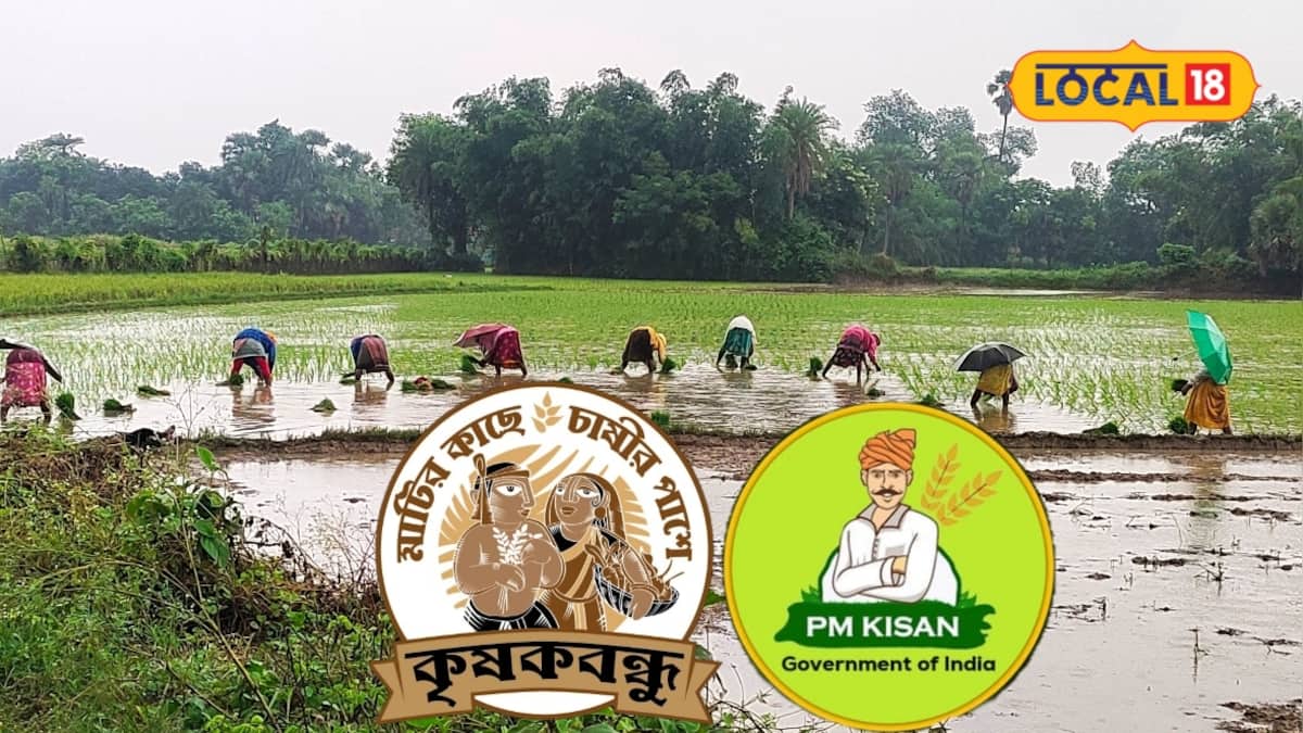Krishak Bandhu: কৃষক বন্ধু আর PM Kisan দুই প্রকল্পের টাকা কি একসঙ্গে পাবেন? জানুন যোগ্যতা ও আবেদন পদ্ধতি