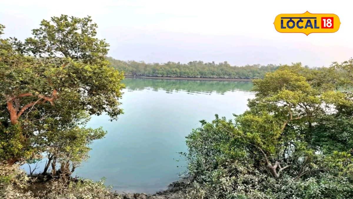 সুন্দরবনে বিশ্বমানের পর্যটন গড়তে মাস্টার প্ল্যান রাজ্যের
