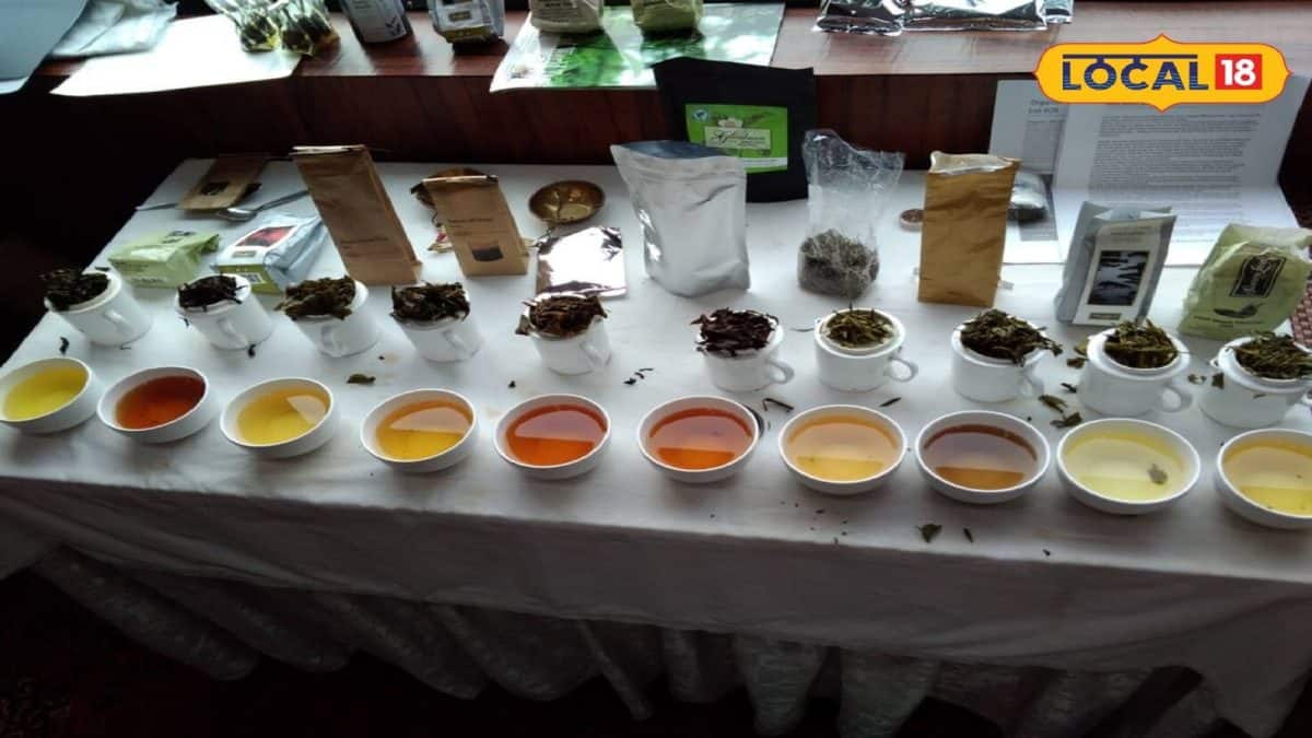 Tea Board Job Course: চা ভালোবাসলেই মিলবে চাকরির সুযোগ! মাত্র ২১০ ঘণ্টার ‘টি সোমেলিয়ার’ কোর্স আনল টি বোর্ড, যোগ্যতা কী?