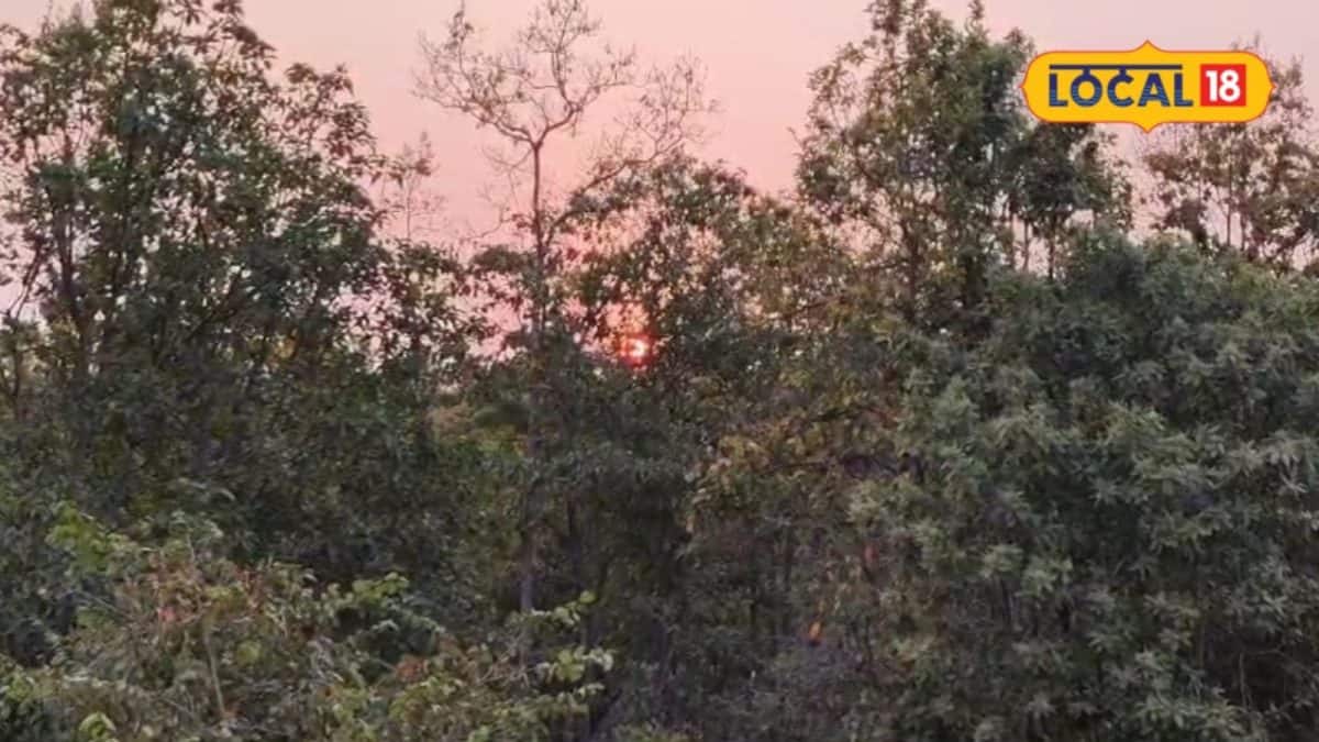 পুজোর ছুটিতে বাঁকুড়ার জঙ্গলে নিরিবিলি ভ্রমণের পরামর্শ