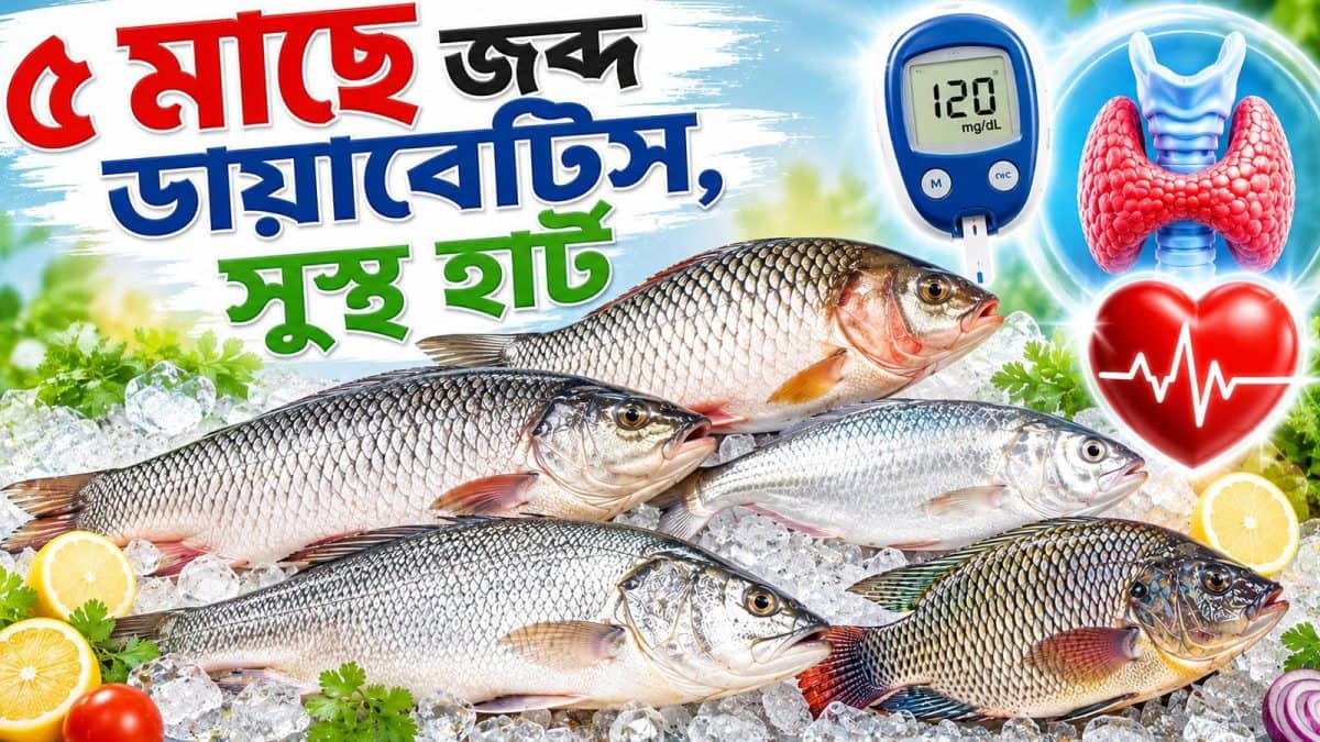 Best 5 Bengali Fish: ৫ মাছে জব্দ ডায়াবেটিস-থাইরয়েড! হৃদযন্ত্র সুস্থ রেখে স্ট্রোক, হার্ট অ্যাটাক এড়াতে খান বাজারে অঢেল পুষ্টির এই পাওয়ারব্যাঙ্ক