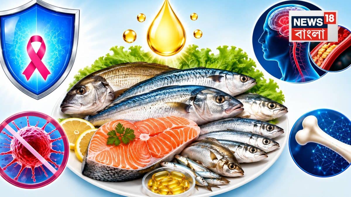Best Fish for Cancer and Heart Protection: ক্যানসাররোধী মাছ রুখে দেয় স্ট্রোক! ক্যালসিয়াম, ওমেগা থ্রি অ্যাসিডে টইটম্বুর ১৫ মাছ হাড়কে করে স্টিলের মতো মজবুত! Best Fish for Cancer and Heart Protection: ক্যানসাররোধী মাছ রুখে দেয় স্ট্রোক! ক্যালসিয়াম, ওমেগা থ্রি অ্যাসিডে টইটম্বুর ১৫ মাছ হাড়কে করে স্টিলের মতো মজবুত!