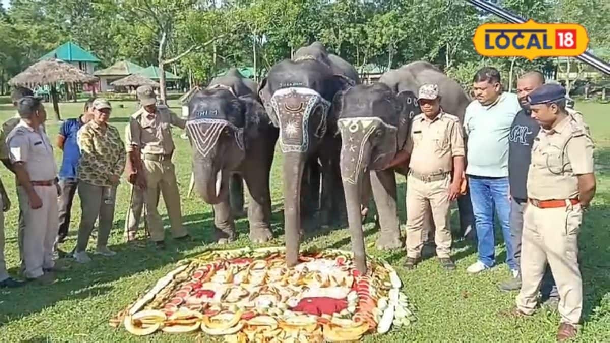 হাতিদের জন্য তরমুজ-কুমড়োর ১৪ ফুটের কেক, উৎসব গরুমারায়