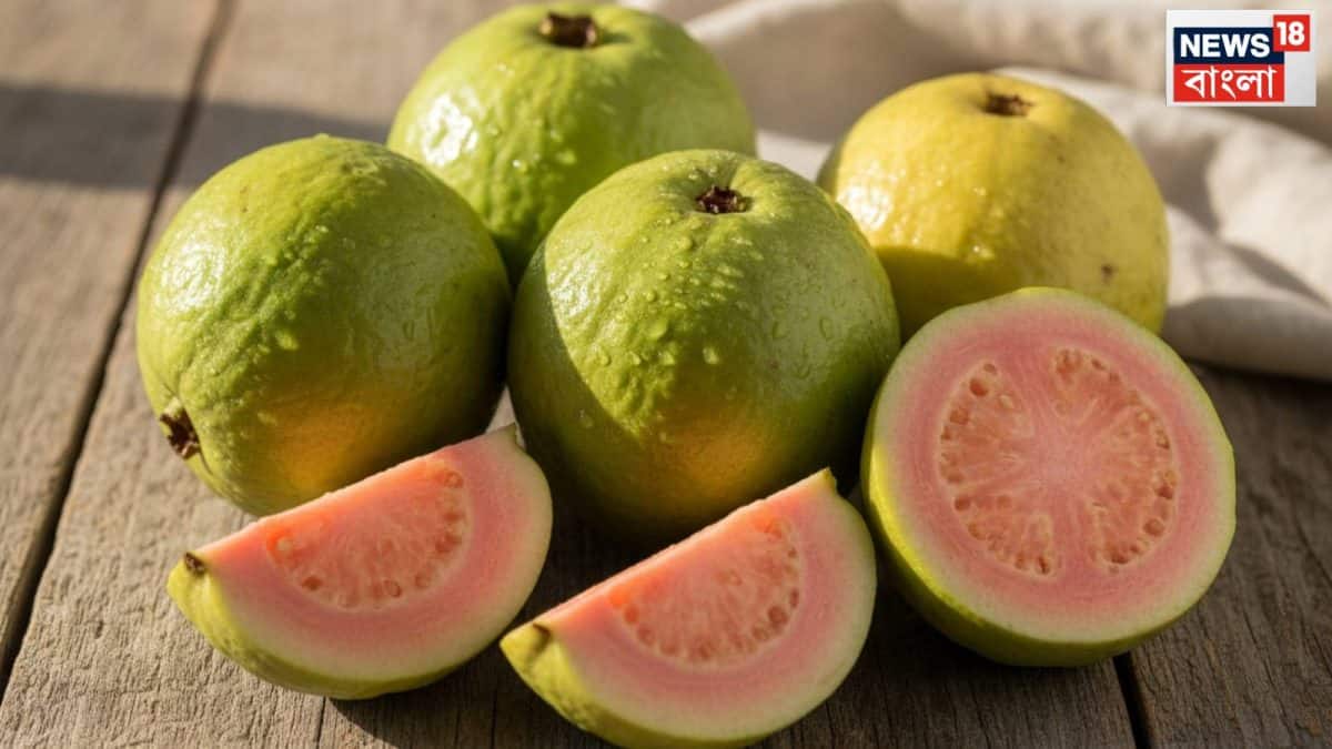 Guava Side Effects: পেয়ারা খাওয়ার আগে সাবধান! কিডনির দফারফা? এই ‘৫’ জনের জন্য এই উপকারী ফলই হতে পারে ক্ষতির কারণ Guava Side Effects: পেয়ারা খাওয়ার আগে সাবধান! কিডনির দফারফা? এই ‘৫’ জনের জন্য এই উপকারী ফলই হতে পারে ক্ষতির কারণ