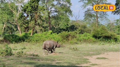 জলদাপাড়ার গণ্ডার জলদাপাড়ার গণ্ডার