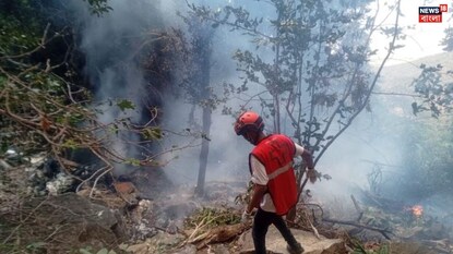 কেনিয়ায় হেলিকপ্টার দুর্ঘটনার ছবি ( ছবি- পিটিআই)