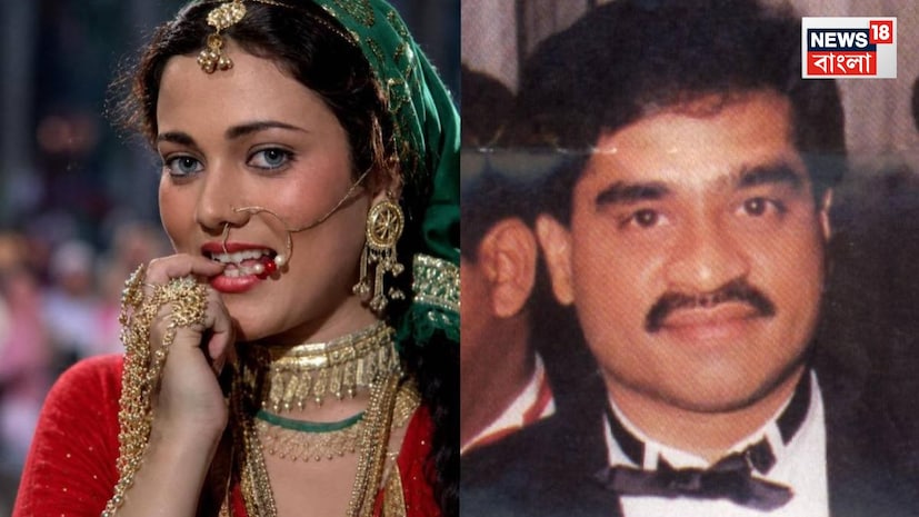 অভিষেকের পর মন্দাকিনী বেশ কয়েকটি বাণিজ্যিকভাবে সফল ছবিতে অভিনয় করেন। তিনি 'জিভা', 'ডান্স ডান্স', 'পেয়ার করকে দেখো', 'কমান্ডো', 'জিতে হ্যায় শান সে' এবং 'কাহান হ্যায় কানুন'-এর মতো ছবিতে তাঁর অভিনয় দক্ষতার পরিচয় দেন। এই সময়ে তিনি মিঠুন চক্রবর্তী, গোবিন্দা এবং আদিত্য পাঞ্চোলির মতো তৎকালীন কিছু বড় তারকার সাথে স্ক্রিন শেয়ার করেন। ১৯৯৬ সালের 'জোরদার' ছবিটি মন্দাকিনীর শেষ ছবি হিসেবে প্রমাণিত হয়, যার পরে তিনি বলিউড চিরতরে ছেড়ে দেন। অভিষেকের পর মন্দাকিনী বেশ কয়েকটি বাণিজ্যিকভাবে সফল ছবিতে অভিনয় করেন। তিনি 'জিভা', 'ডান্স ডান্স', 'পেয়ার করকে দেখো', 'কমান্ডো', 'জিতে হ্যায় শান সে' এবং 'কাহান হ্যায় কানুন'-এর মতো ছবিতে তাঁর অভিনয় দক্ষতার পরিচয় দেন। এই সময়ে তিনি মিঠুন চক্রবর্তী, গোবিন্দা এবং আদিত্য পাঞ্চোলির মতো তৎকালীন কিছু বড় তারকার সাথে স্ক্রিন শেয়ার করেন। ১৯৯৬ সালের 'জোরদার' ছবিটি মন্দাকিনীর শেষ ছবি হিসেবে প্রমাণিত হয়, যার পরে তিনি বলিউড চিরতরে ছেড়ে দেন।