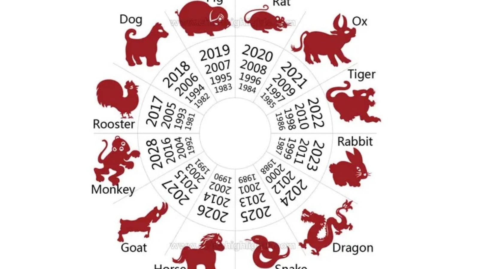 Dog Zodiac Sign Rabbit Chinese Horoscope Today 24 October 2026: আজকের চিনা রাশিফল Chinese ...