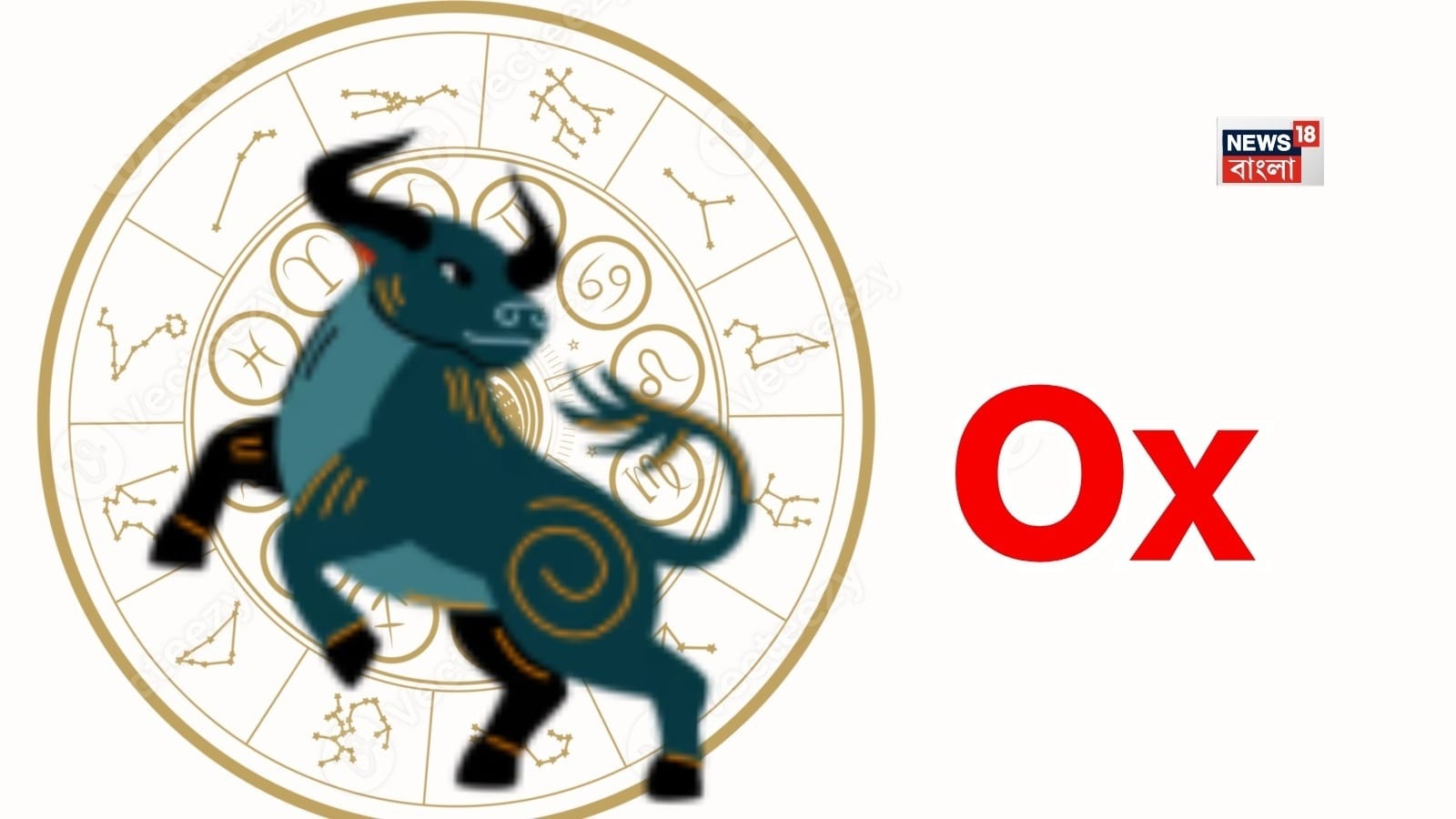 Dog Zodiac Sign Rabbit Chinese Horoscope Today 24 October 2026: আজকের চিনা রাশিফল Chinese ...