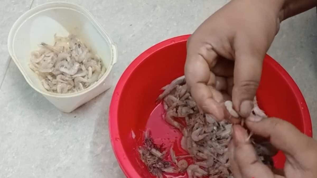 কুচো চিংড়ি পরিষ্কার করতে হাত ব্যথা হয়ে যাচ্ছে? শিখে নিন এই সহজ কৌশল,নিমেষে সাফ ঝুড়ি-ঝুড়ি চিংড়ি,ঝক্কি ছাড়াই বেরিয়ে আসবে কালো শিরা