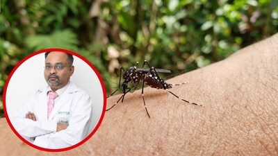 কেন দ্বিতীয়বার ডেঙ্গি হলে তা ভয়ের?