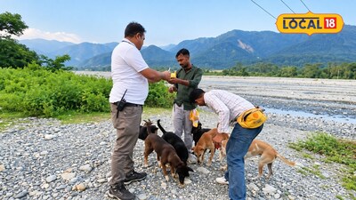 Dogs Vaccinated to Save Tigers: Over 400 Stray Dogs Immunized in Buxa Tiger Reserve