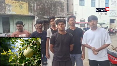 মোবাইল কেপমারির এমন অভিনব কৌশলে হতবাক এলাকার মানুষ।