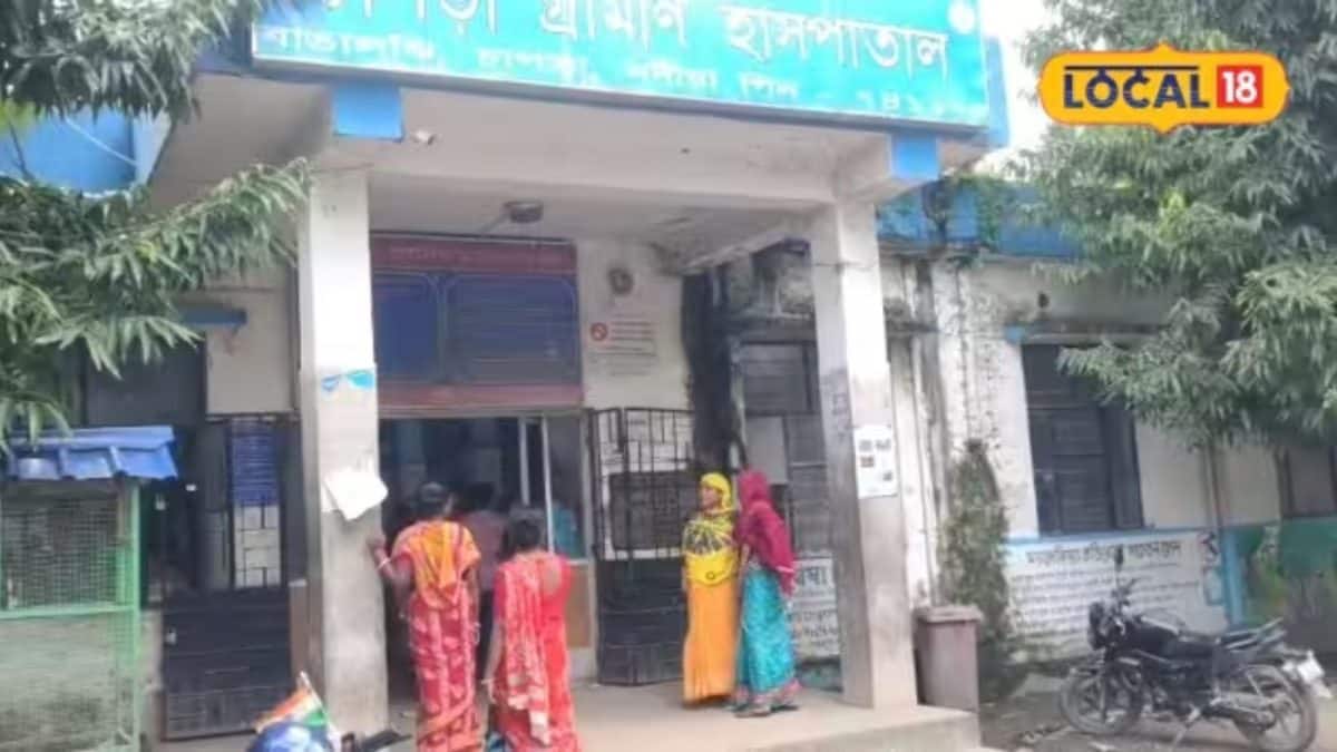 Nadia News: পুকুরে ভেজানোর পর পাট ছাড়াচ্ছিলেন, আচমকা আকাশ কালো, হঠাৎ প্রচণ্ড শব্দ...সব শেষ! বজ্রপাত মর্মান্তিক মৃত্যু কৃষকের, আহত ৮