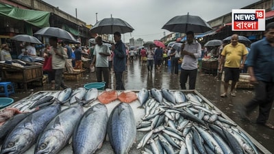 Worms in Tuna? Experts Reassure Seafood Lovers: No Need to Panic Over Indian Tuna!