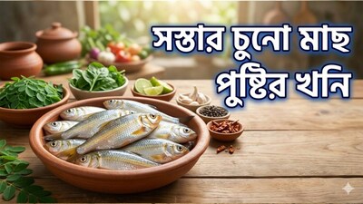 নামে চুনোপুঁটি, কিন্তু উপকারিতা ও পুষ্টিগুণে আদতে রাঘব বোয়াল৷ এতটাই পুষ্টিকর পুঁটি এবং সরপুঁটির মতো কুচো মাছ৷ স্বাদ ও স্বাস্থ্যগুণের ভান্ডার এই মাছ রান্না করাও সোজা৷ অঢেল না হলেও একটু খুঁজলে বাজারে ভালো মানের পুঁটিমাছ পেয়ে যাবেন৷ দেখলেই ব্যাগ ভরে কিনে ফেলুন৷ এই ছোট্ট মাছ খেলে কী কী উপকারিতা পাবেন, সে বিষয়ে সোশাল মিডিয়ায় একটি ভিডিওতে বলেছেন বিশেষজ্ঞ তসনিম জারা৷ (AI Image)