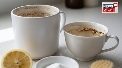 Stubborn Tea & Coffee Stains? Two Household Items Will Make Your Cups Sparkle!