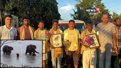 তিস্তায় ভাসতে ভাসতে মৃত্যুর মুখে হাতির শাবক, ‘হিরো’ অজয়-মিঠুরা