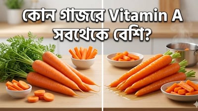 Raw vs. Cooked Carrots: Are You Missing Out on Vitamin A? The Truth About Beta-Carotene Absorption