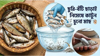কুচো মাছের রকমারি স্বাদ অনেক দিন ধরেই বাঙালি হেঁশেলে দাপটের সঙ্গে রাজত্ব করছে৷ পুঁটি, মৌরলা, আমুদি, কাচকি-চেহারায় ছোট হলেও স্বাদমাহাত্ম্যে কুপোকাত করবে বড় মাছের পদকে৷ কিন্তু মাছ কোটা, পরিষ্কার করার ঝামেলা ঝক্কির জন্য অনেক গৃহিণীই এই ধরনের মাছ এড়িয়ে যেতে চান৷ বাজারে দেখলেও কিনতে ভয় পান কর্তারা৷ কিন্তু জানেন কি ছুরি-বঁটি ছাড়াই চোখের নিমেষে মাত্র ৫ মিনিটে ছাড়িয়ে নিতে পারবেন ঝুড়ি ঝুড়ি চুনো মাছ৷ তার পর ঝালে-ঝোলে-অম্বলে ডুবে যাওয়ার পালা৷ (AI Image)