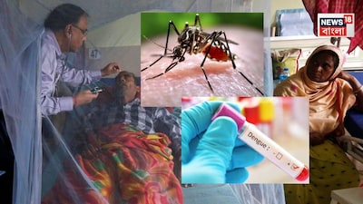 ডেঙ্গি নিয়ে স্বাস্থ্য দফতরের নির্দেশিকা