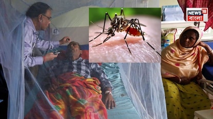 রাজ্যে ডেঙ্গির প্রকোপ কেমন রাজ্যে ডেঙ্গির প্রকোপ কেমন