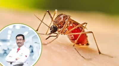 ডেঙ্গিতে জ্বর কমেছে মানেই বিপদ কাটেনি! কেন ৪-৬ দিন সবচেয়ে গুরুত্বপূর্ণ, জানুন চিকিৎসকের পরামর্শ