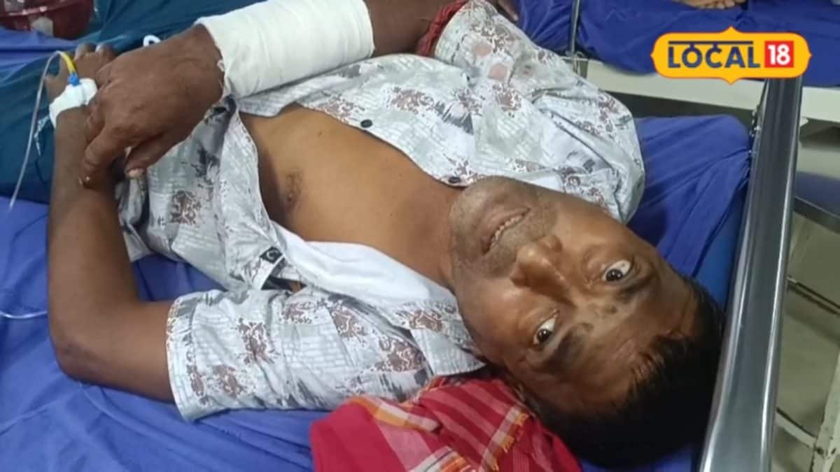 Horse Attack: বাইক থামিয়ে তাণ্ডব 'খ্যাপাটে' কালো ঘোড়ার, কিছু বুঝে ওঠার আগেই রক্তারক্তি কাণ্ড! রাস্তায় বেরিয়ে থরথর করে কাঁপছেন স্থানীয়রা