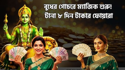 বুধ গোচরে কাদের লাভ?